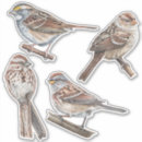 Suche nach spatz aufkleber Vogelbeobachtung