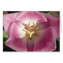 Suche nach tulpen tischkarten Quelle