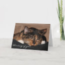 Suche nach kaliko postkarten Niedlich