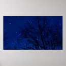 Suche nach baum poster Natur