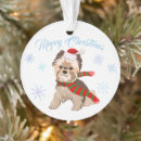 Suche nach weihnachtsmann hut ornamente Schneeflocke