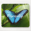 Suche nach blauer morpho schmetterling mousepads Insekt