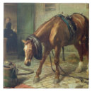 Suche nach edwin fliesen 1802 73