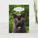 Suche nach moody karten Katze