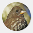 Suche nach birne magnete Vogelvogel