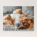 Suche nach cocker spaniel puzzle Niedliches baby