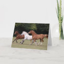 Suche nach arabisches pferd karten Rasse