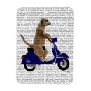 Suche nach moped magnete Meerkat