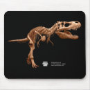 Suche nach jura mousepads Ausgestorben