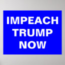 Suche nach trumpf poster Demokrat