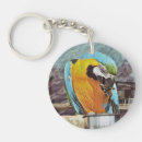 Suche nach macaw schlüsselanhänger Haustiere