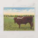 Suche nach lustige texas postkarten Vintag