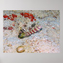 Suche nach garden poster Natur