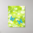 Suche nach wild lebende tiere leinwandbilder Schmetterling