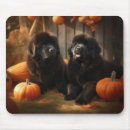 Suche nach neufundländer mousepads Tier