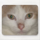 Suche nach orange auge mousepads Weiß