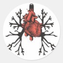 Suche nach lungen aufkleber Anatomie