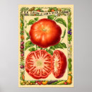 Suche nach sorten poster Botanisch