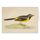 Suche nach wagtail Natur