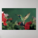 Suche nach breites poster Blau