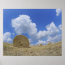 Suche nach ballester poster Horizontal
