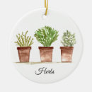 Suche nach topf ornamente Pflanze