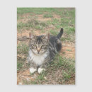 Suche nach gestreifte katze postkarten Grau