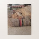 Suche nach des fotos puzzle Rätsel