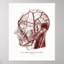 Suche nach nerven poster Medizinische