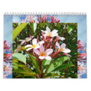 Suche nach plumeria kalender Blume