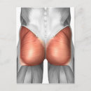 Suche nach menschliche anatomie postkarten Abbildung