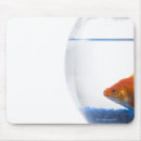 Suche nach goldfische mousepads Blau