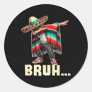 Suche nach poncho aufkleber Hispanisch