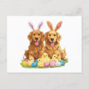 Suche nach ears poster Kaninchen