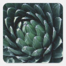 Suche nach agave aufkleber Natur