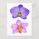 Suche nach lila der orchidee postkarten Tropisch