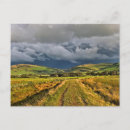 Suche nach stürmischer himmel postkarten Wald