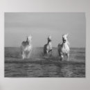 Suche nach laufen poster Fotografie