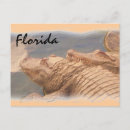 Suche nach liebe florida postkarten Strand