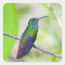 Suche nach grüner kolibri aufkleber Rosa