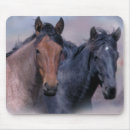 Suche nach wilde wilde pferde mousepads Fohlen