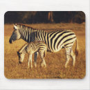 Suche nach gras mousepads Wald