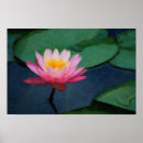 Suche nach wasserlilien poster Malerei