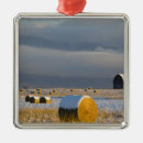Suche nach scheunen ornamente Winter