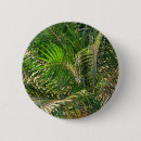 Suche nach grüne palmen buttons Natur