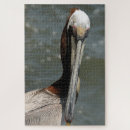Suche nach pelikan puzzle Vogelvogel