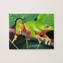 Suche nach amphibien puzzle Farbenfroh