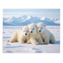 Suche nach bear notizblock Natur