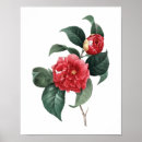 Suche nach vintage flower poster Redoute