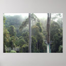 Suche nach rainforest poster Regenwald
